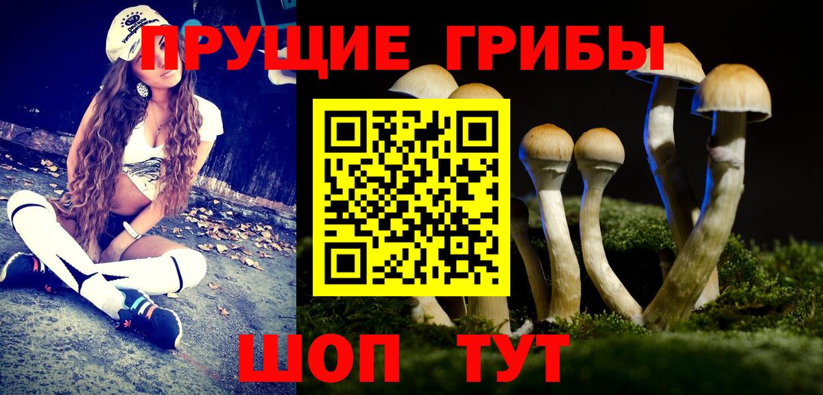 Галлюциногенные грибы Cubensis Феодосия